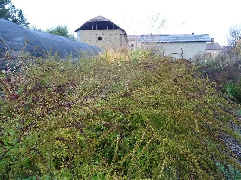 DSC06484